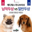 애니멀웍스 네이버블로그