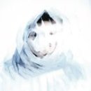 Dear My Blank 이미지