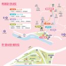 블라썸여좌커뮤니티센터 | 2026 광양매화축제 일정 총정리 | 날짜, 입장료, 개화율, 주차, 셔틀버스, 먹거리, 숙소