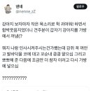 출장가려고 KTX 탔더니 옆자리에 하얀 강아지가 있다 이미지