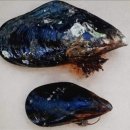 온고이지신 이미지