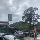 큰소나무민박 이미지