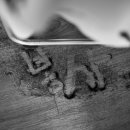 음성꽃동네심신장애인요양시설 이미지