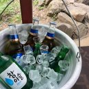 논배동산