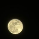 도그송 | 너는 꼭 침묵한 적 없던 사람처럼 말하네