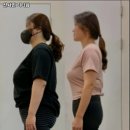 선샤인 피티샵 이미지