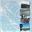 와우영어 Daum카페