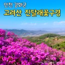 백전1리마을회관 | 강화 고려산 진달래축제 기간 주차장 등산코스 개화시기