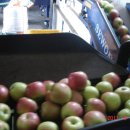 보람 농원 이미지