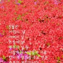 방계 이미지