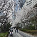 아트 퍼포먼스 「페인터즈」 (초·중·고 단체관람) | [용산] 백남준: Rewind / Repeat @ APMA 캐비닛 (4.1~5.16)