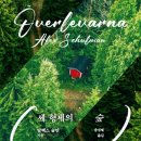 숲속의 작은집 이미지