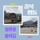 [영동] 월류봉둘레길