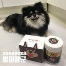 포메슬개골탈구 강아지관절영양제 멍이장군으로 관리