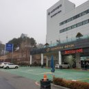 쌍용자동차 동수원 정비사업소 방문 후기, 후방카메라 백화현상