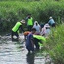 간문초교 이미지