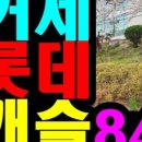 연제롯데공인중개사사무소 이미지