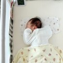 리틀원 | 신생아 아기 통잠 재우는 멜로우앤 스와들업 추천❤ 리틀원박스 후기