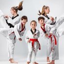 길잡이 태권도 이미지