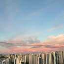 씨알랩 | 이렇게 먹고도 다이어터이긴해^.^/~