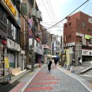 지스타플라워