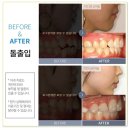 라임나무 이미지