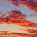 (주)비아나 이미지