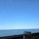 뉴헤이븐 | 여행 / 뉴욕에서 보스턴까지 색다르게! 롱아일랜드 페리 루트 이용 후기 / 뉴헤이븐 피자맛집 프랭크 페페