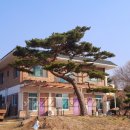 흑천길(물소리길 5코스) 티스토리