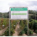 마연농장 이미지