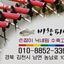 비향피싱