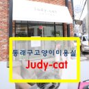 쥬디캣(Judy Cat) | 고양이 무마취미용&amp;호텔 - 동래구&#34;쥬디캣(Judy-cat)&#34;