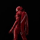 인형나라 이미지