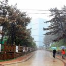 감상발전소 이미지