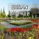 상주역 자전거 공영주차장 | 부산 삼락생태공원 가을꽃 축제 자전거 대여소 주차장 위치