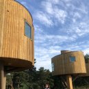 무주읍106 이미지