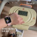 샤방하개 네이버블로그