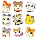 방가방가 PC 이미지