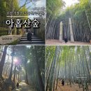 십리대밭 산책로 화장실 | 부산 기장 가볼만한 곳 아홉산숲 대나무숲길 산책 위치 입장료 영업시간 대중교통