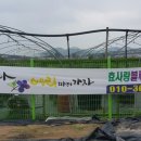 개야농장 이미지