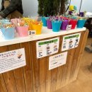 삼가1통 이미지