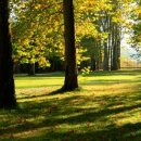 궁전민박 이미지