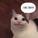 딱!여그서 | [방린이의 방탈출일지 27] 비트포비아 던전루나 '검은 운명의 밤'