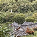 올가민박 이미지