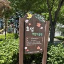 효성어린이공원 이미지