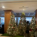올드마일엔틱 | 서울 마곡 메이필드 호텔 ｜ 김포공항 정원뷰 서울 호텔 추천 ( 가성비 호텔, 기념일 추천, 서울호캉스...