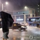 조아조아분식 이미지