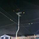 VIP2000 | 강릉 여름여행 그린횟집 사천진 해변 따라 찾은 강릉 컨피네스오션 근처 횟집, VIP 대게 세트 후기