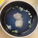 [장성_맛집] 장성 맛집_농업회사법인 시우팜(주) 솔직 후기