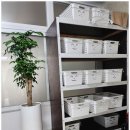 별드림캠핑장 | 캠핑장비 없는 초보자들도 캠핑하고 싶다면? 태안캠핑 태안 바다드림 캠핑장 방문후기